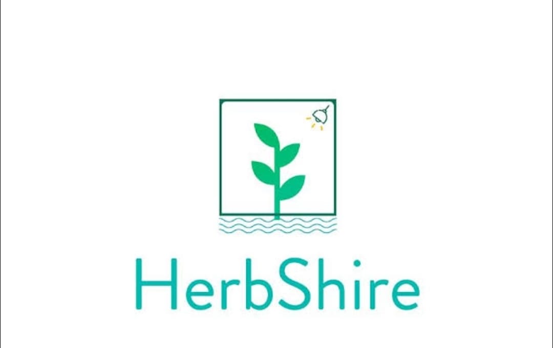 Brand Logo 11