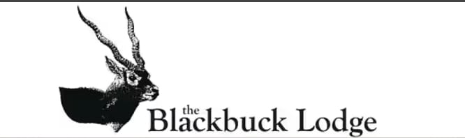 Brand Logo 23